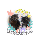 こんな日もあるだろうねこ2（個別スタンプ：3）