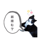 こんな日もあるだろうねこ2（個別スタンプ：31）