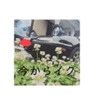 うーこの日常1（個別スタンプ：9）