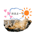 そら♡うる Part 1（個別スタンプ：3）