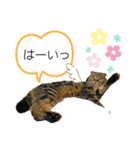 そら♡うる Part 1（個別スタンプ：7）