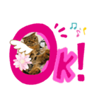 そら♡うる Part 1（個別スタンプ：8）