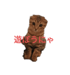 ミモザさんスタンプ（個別スタンプ：4）