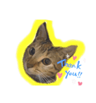やまみんミックス（個別スタンプ：1）
