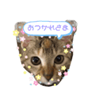 やまみんミックス（個別スタンプ：2）