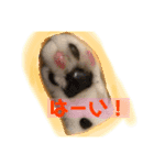 やまみんミックス（個別スタンプ：9）