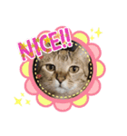 やまみんミックス（個別スタンプ：11）