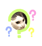 やまみんミックス（個別スタンプ：15）