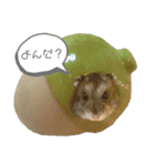 もちまる◎（個別スタンプ：2）