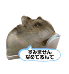 もちまる◎（個別スタンプ：3）