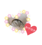 もちまる◎（個別スタンプ：6）