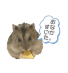 もちまる◎（個別スタンプ：7）