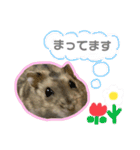 もちまる◎（個別スタンプ：9）