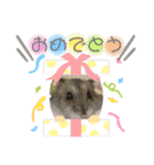 もちまる◎（個別スタンプ：10）