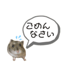 もちまる◎（個別スタンプ：12）