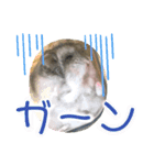 もちまる◎（個別スタンプ：14）