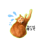 日常ねこねこ（個別スタンプ：8）