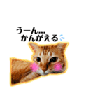 日常ねこねこ（個別スタンプ：14）
