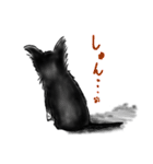 チワワのりぼん（個別スタンプ：5）