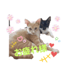 Rina  children  2（個別スタンプ：5）