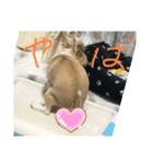 はるちゃん 初回版 その1（個別スタンプ：3）