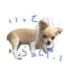 はるちゃん 初回版 その1（個別スタンプ：8）