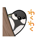 シジュウカラまみれ（個別スタンプ：38）