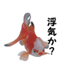 金魚で煽る（個別スタンプ：13）