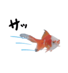 金魚で煽る（個別スタンプ：15）