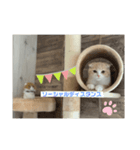 ミラたんスコスタンプ（個別スタンプ：6）