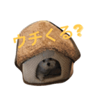 鈴木家のイチロー その1（個別スタンプ：2）