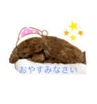 アロンとサナの生活（個別スタンプ：4）