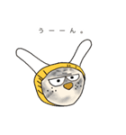 軍手猫。（個別スタンプ：6）