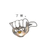 軍手猫。（個別スタンプ：10）