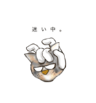 軍手猫。（個別スタンプ：13）