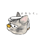 軍手猫。（個別スタンプ：17）