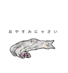 軍手猫。（個別スタンプ：19）