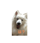 さんて君（個別スタンプ：2）