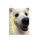 さんて君（個別スタンプ：3）