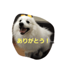 さんて君（個別スタンプ：5）