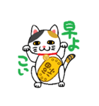 きままな招き猫（個別スタンプ：1）