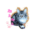 うちのコテツくん。（個別スタンプ：14）