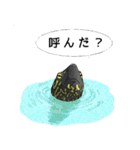 とてもかわいいカメさんスタンプ（個別スタンプ：21）