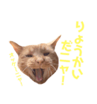 ぼろたんふぁ〜みりぃ アタシはイネ（個別スタンプ：8）