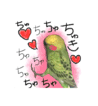 インコのもえたろ（個別スタンプ：9）