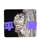 いつも近くに♪エゾモモンガ（個別スタンプ：26）