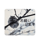 いつも近くに♪エゾモモンガ（個別スタンプ：27）