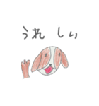 ゆうまの犬スタンプ（個別スタンプ：7）