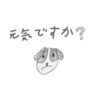 ゆうまの犬スタンプ（個別スタンプ：19）