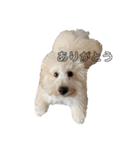 mysweetmutsu（個別スタンプ：5）